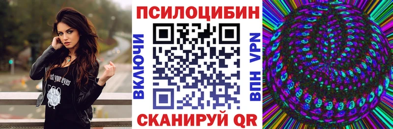 где найти   Верхнеуральск  Псилоцибиновые грибы прущие грибы 